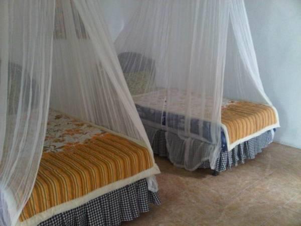 Taman Ayu Homestay Munduk Mitra Reddoorz 외부 사진
